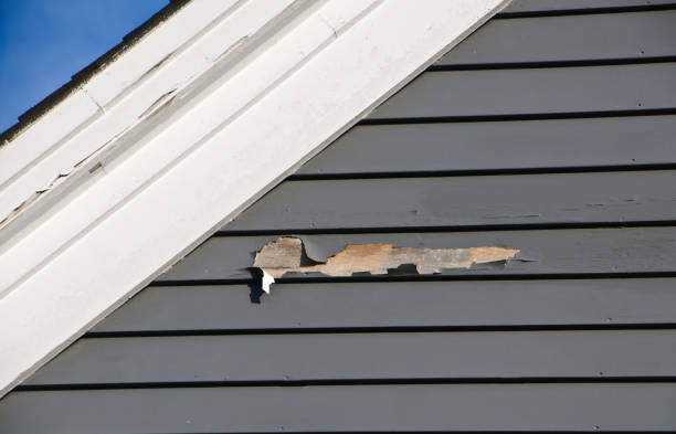 Reliable West Branch, IA Siding Installation Solutions